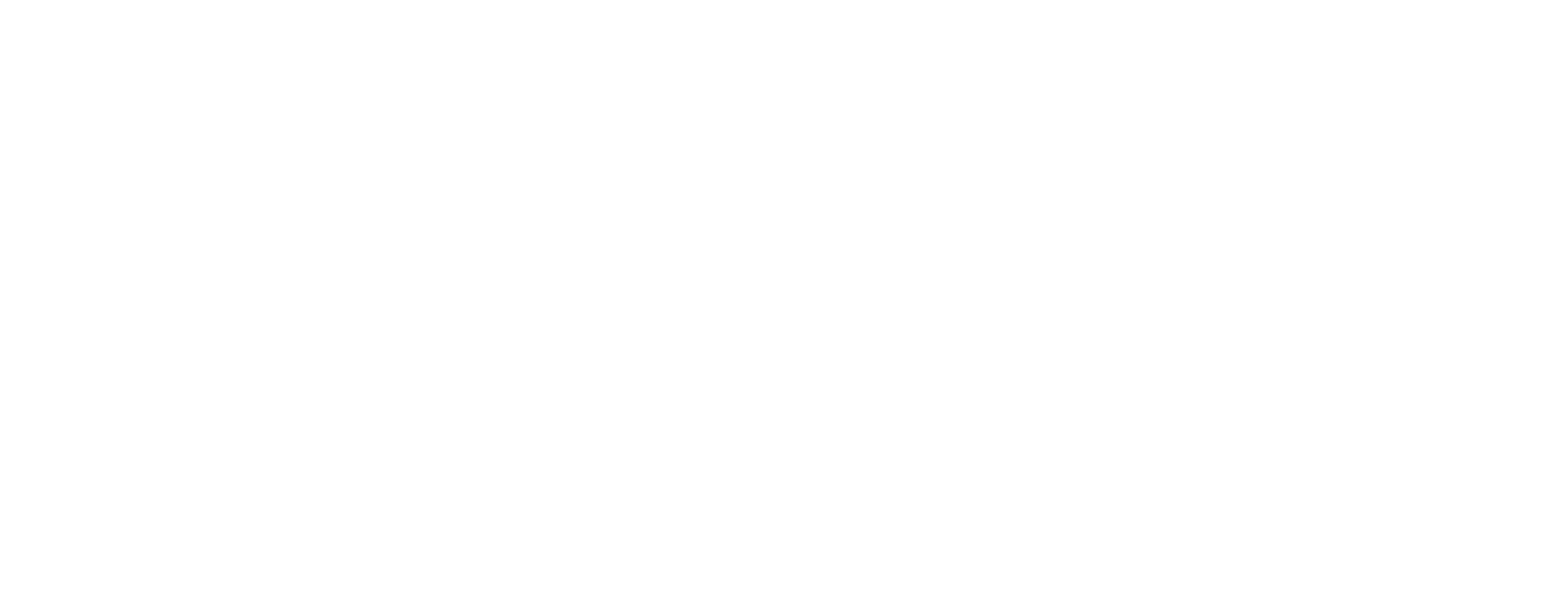FlowTex International